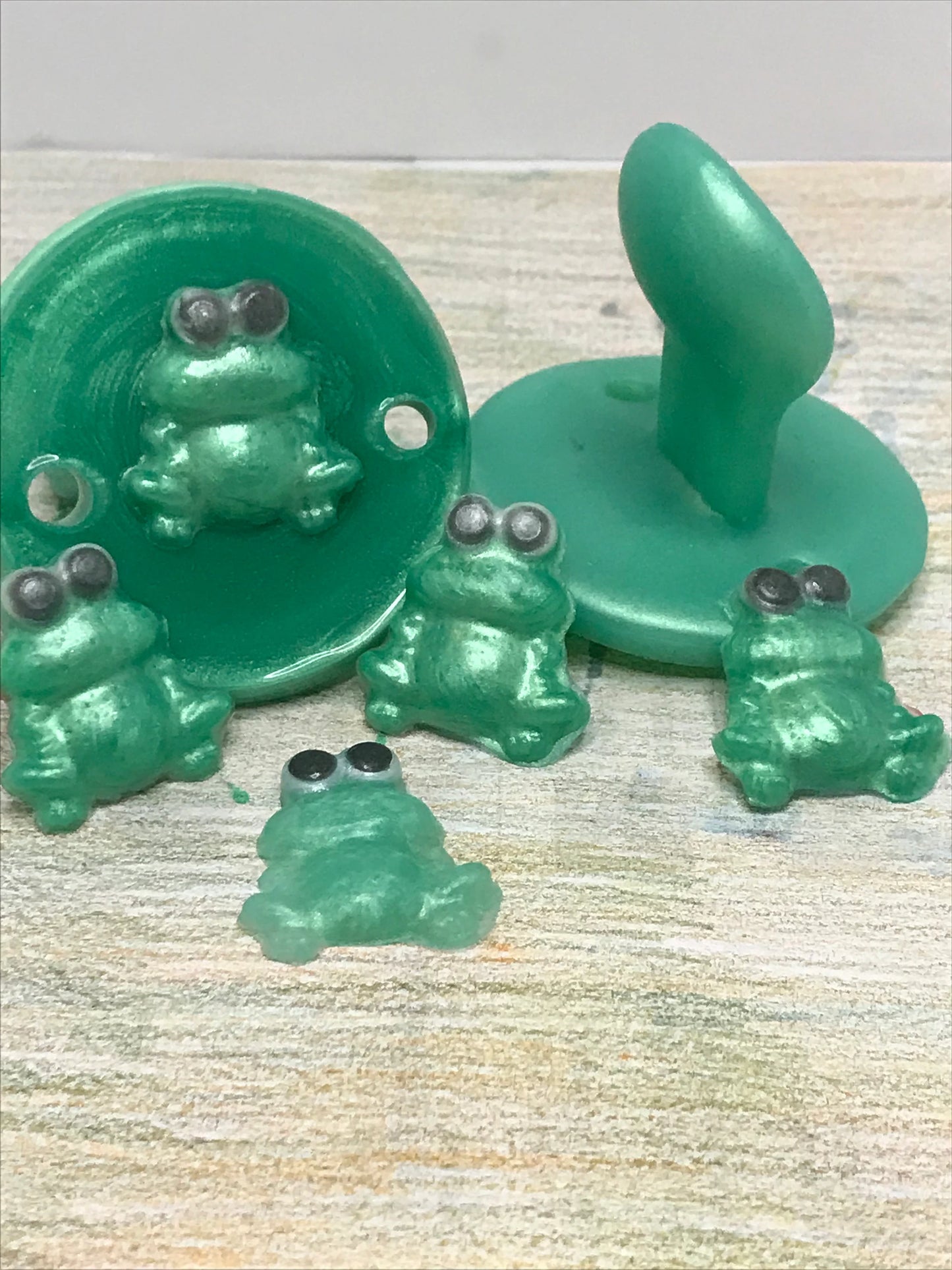 Adult Solid Silicone “Charlie the Frog” Adult Pacifiers