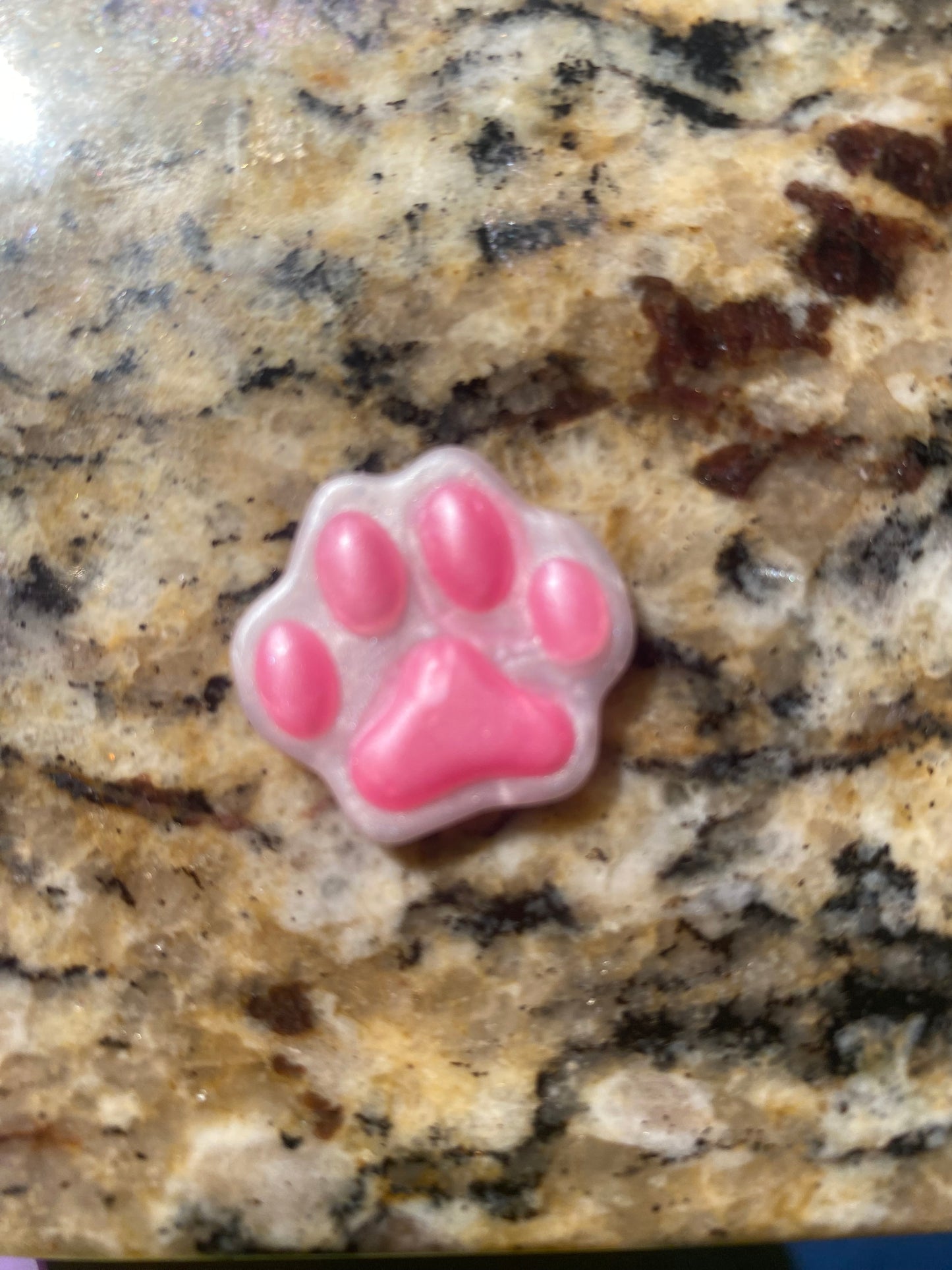 Cat and Paw Print Squishies