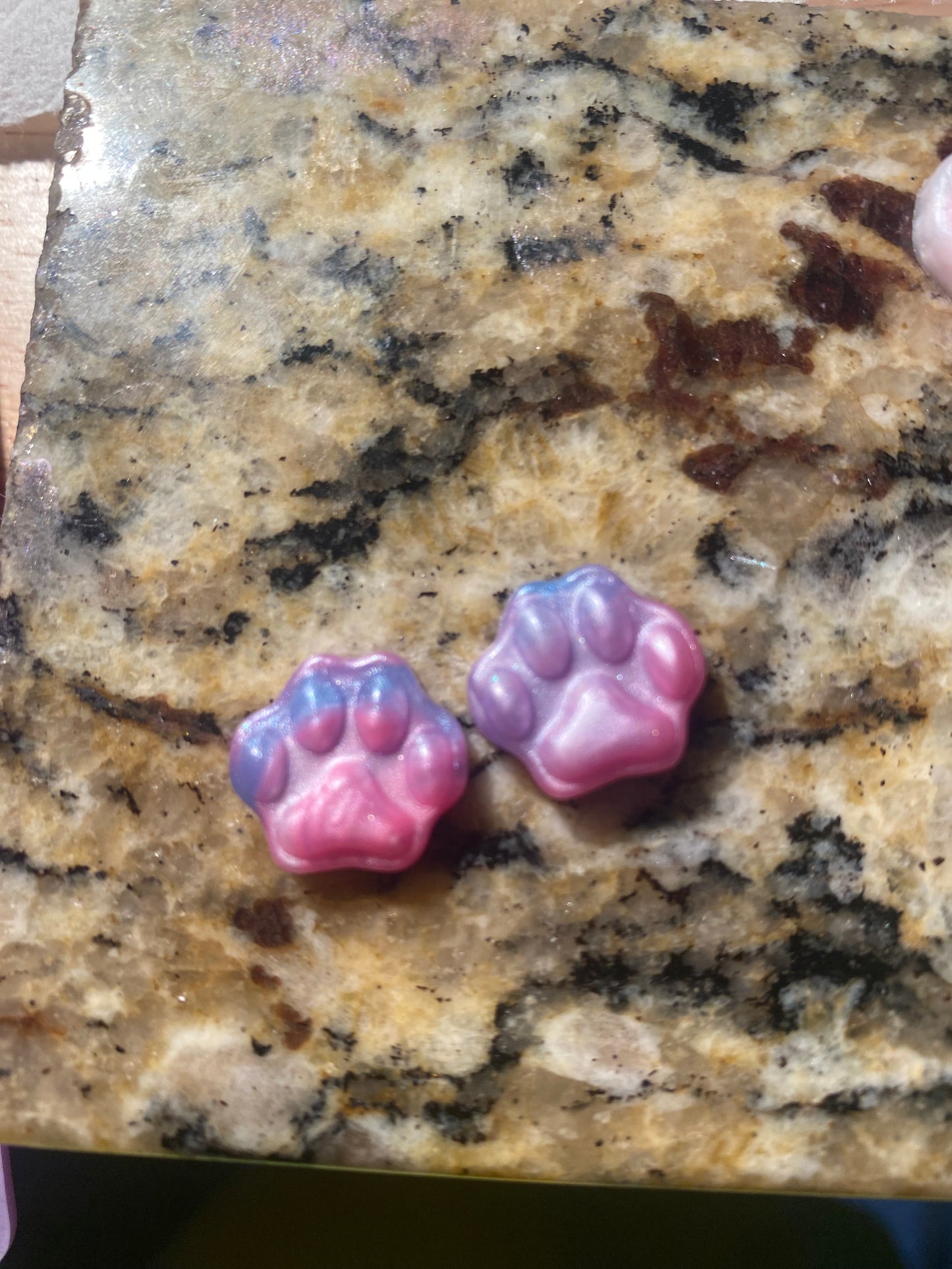 Cat and Paw Print Squishies