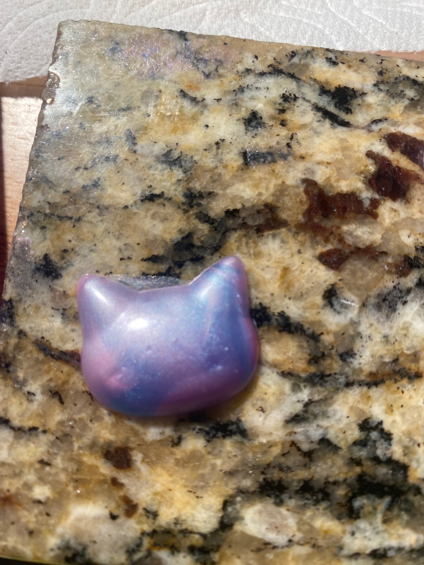 Cat and Paw Print Squishies