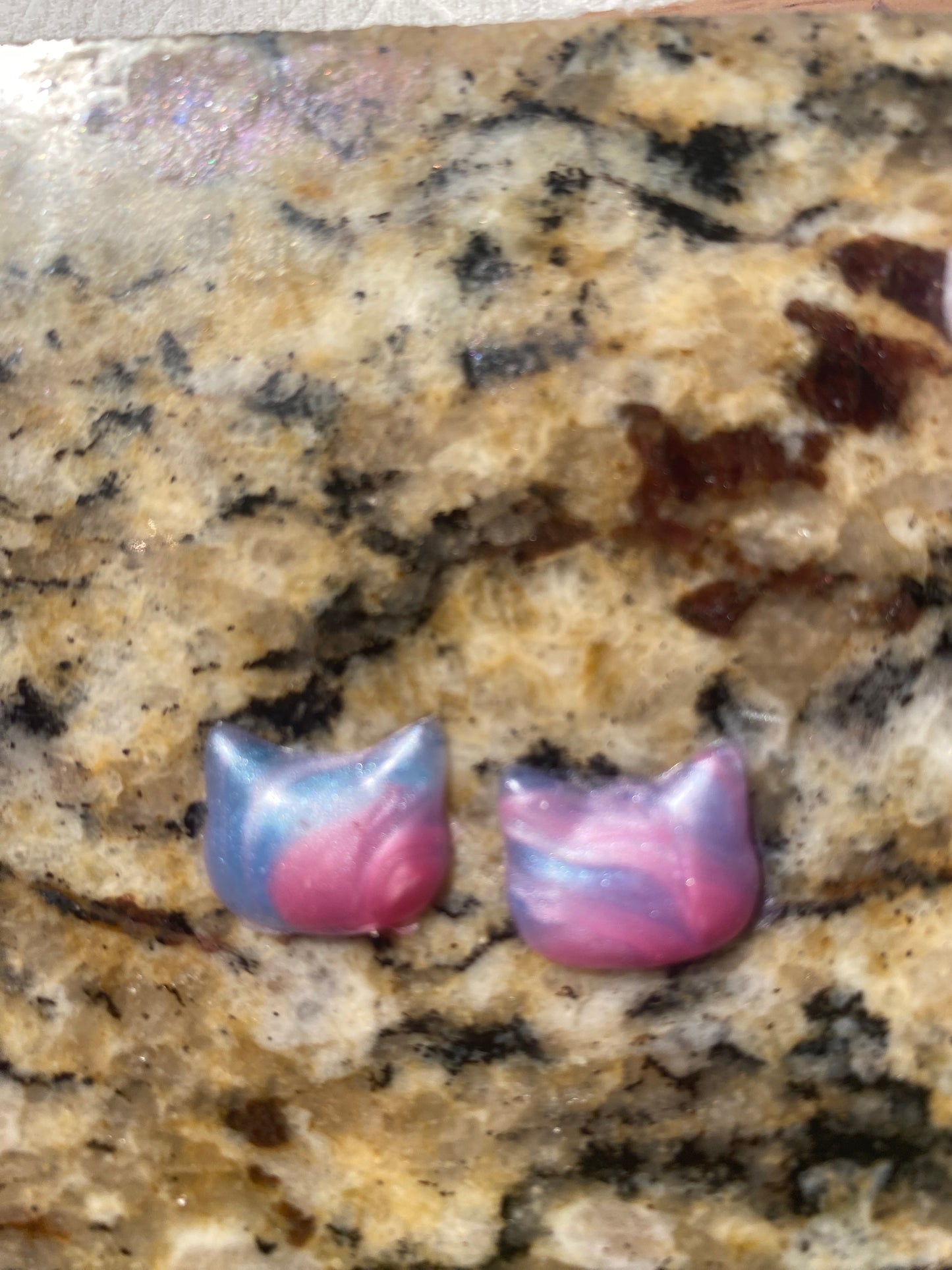 Cat and Paw Print Squishies