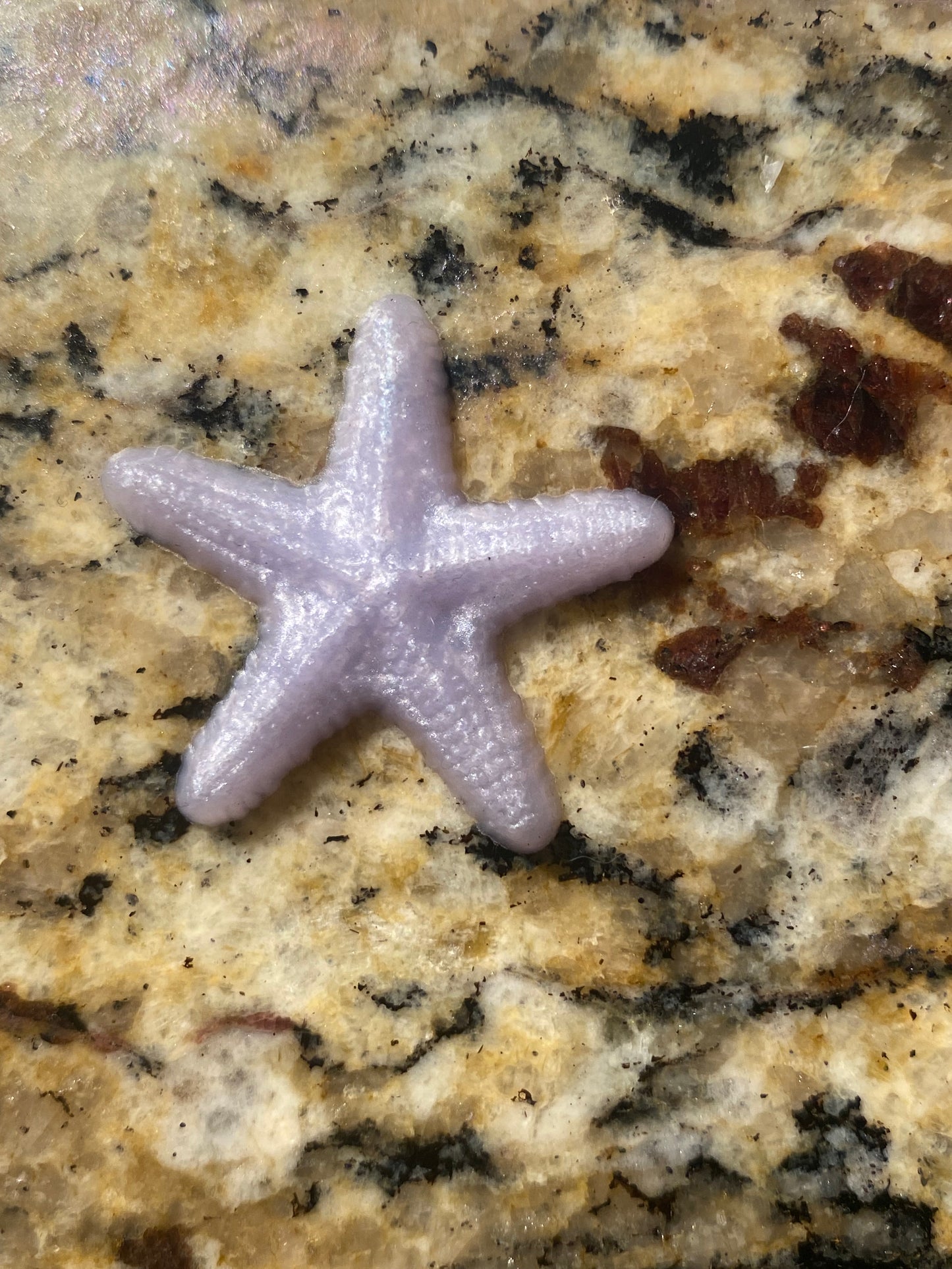 Sea Creature Squishies