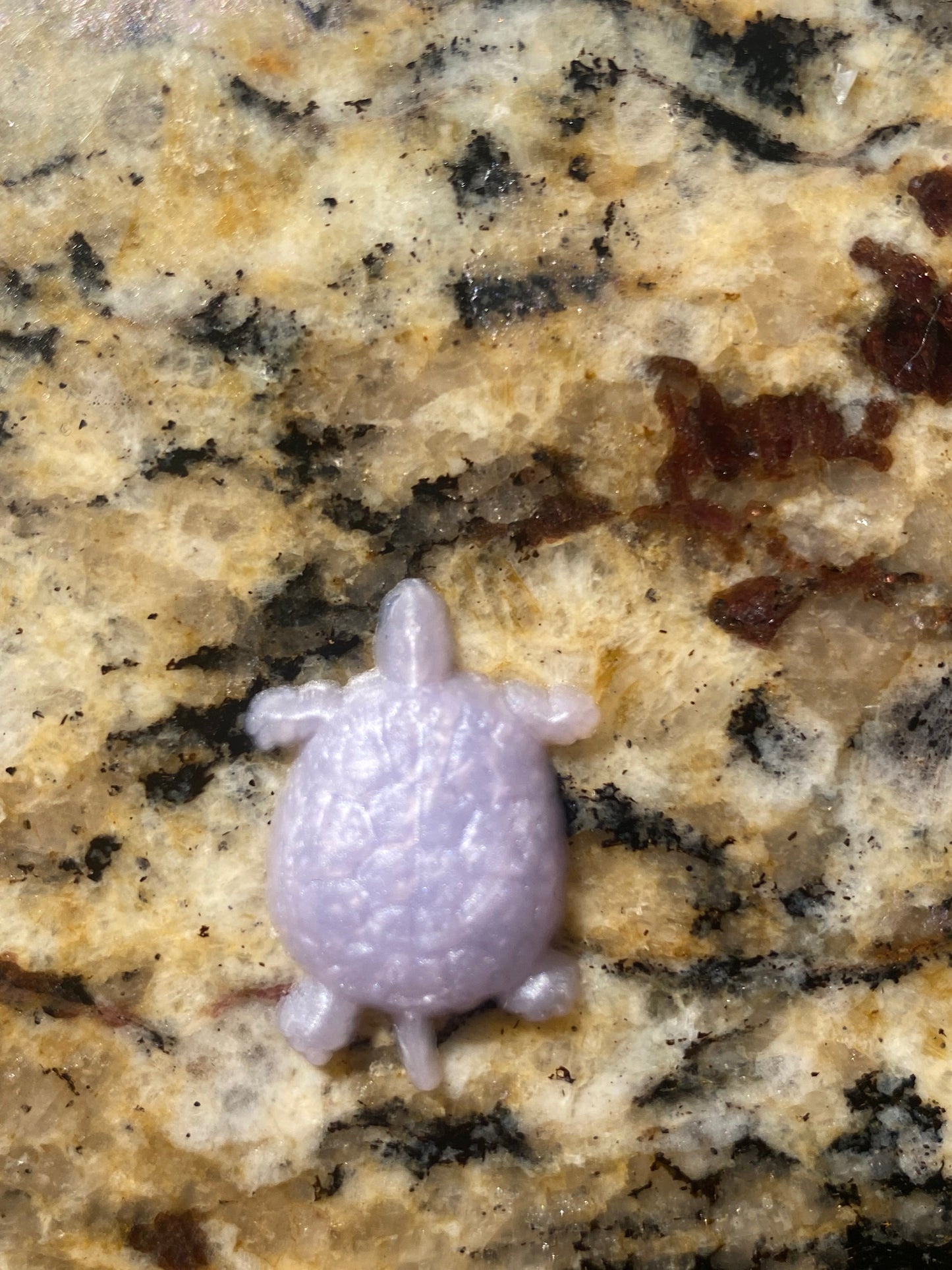 Sea Creature Squishies
