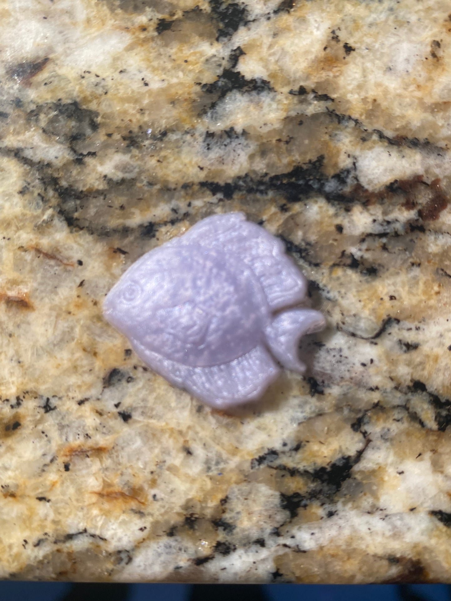 Sea Creature Squishies
