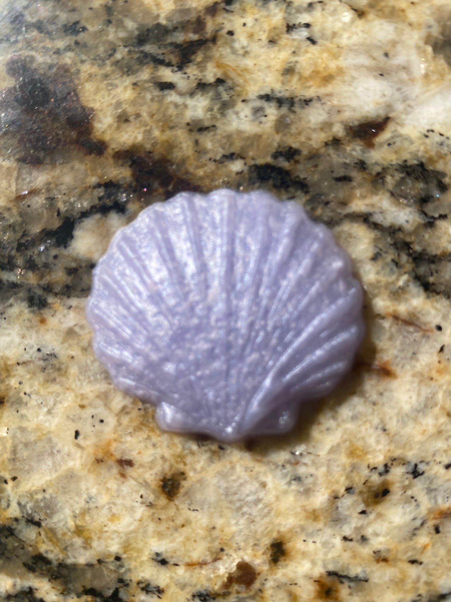 Sea Shells, Sand Dollars and Anchor Squishies