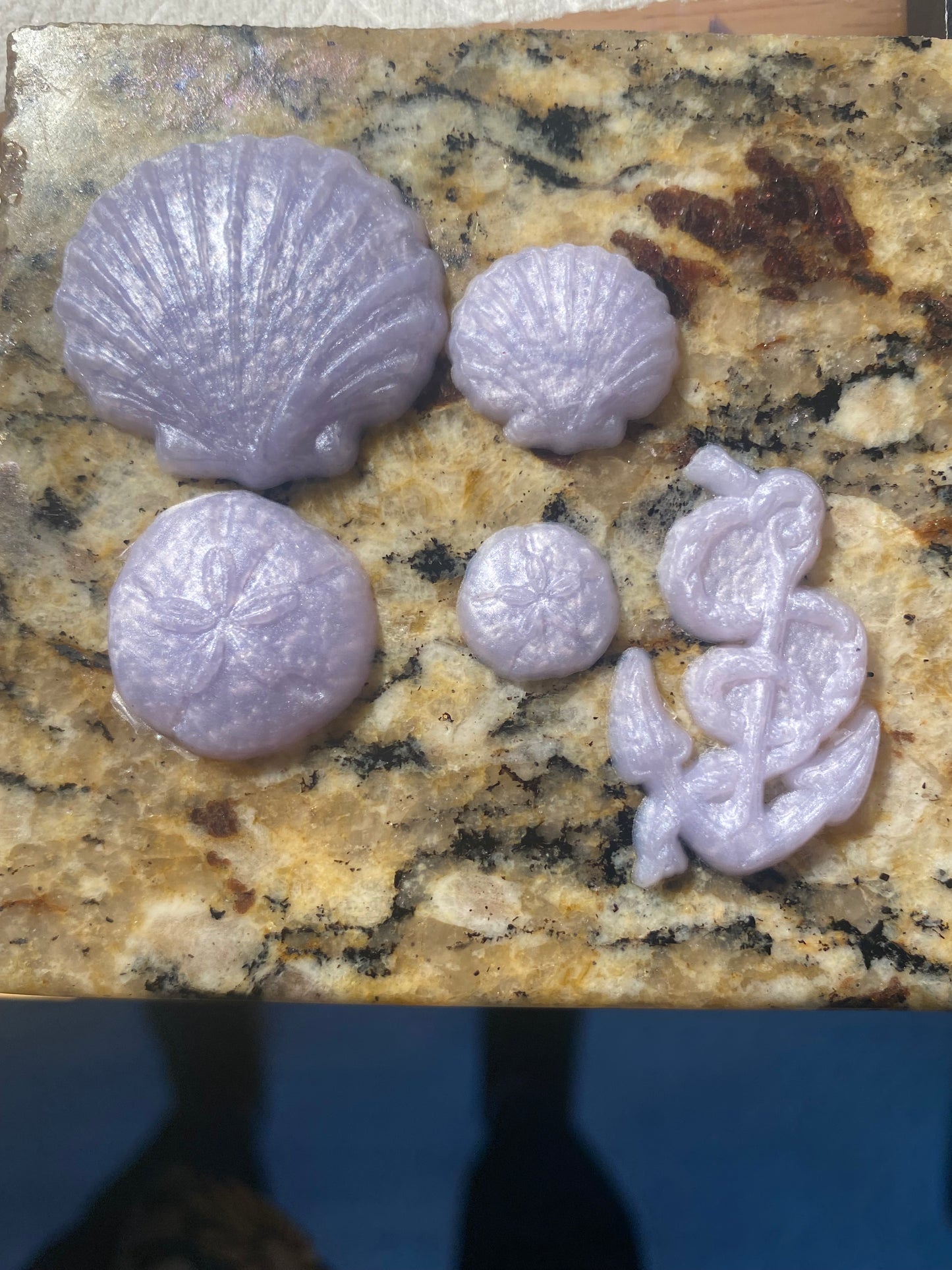 Sea Shells, Sand Dollars and Anchor Squishies