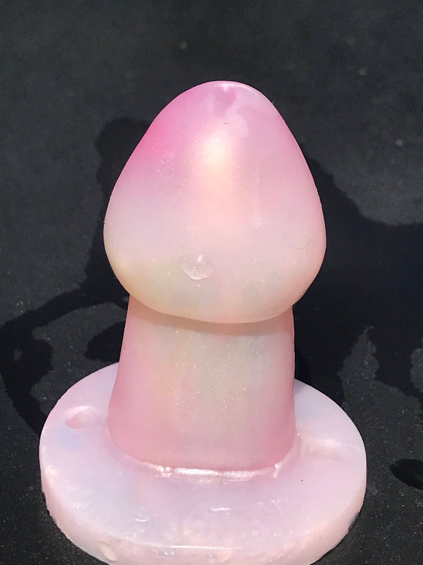 Adult Sold Silicone “Mystical “ Colored Adult Pacifiers