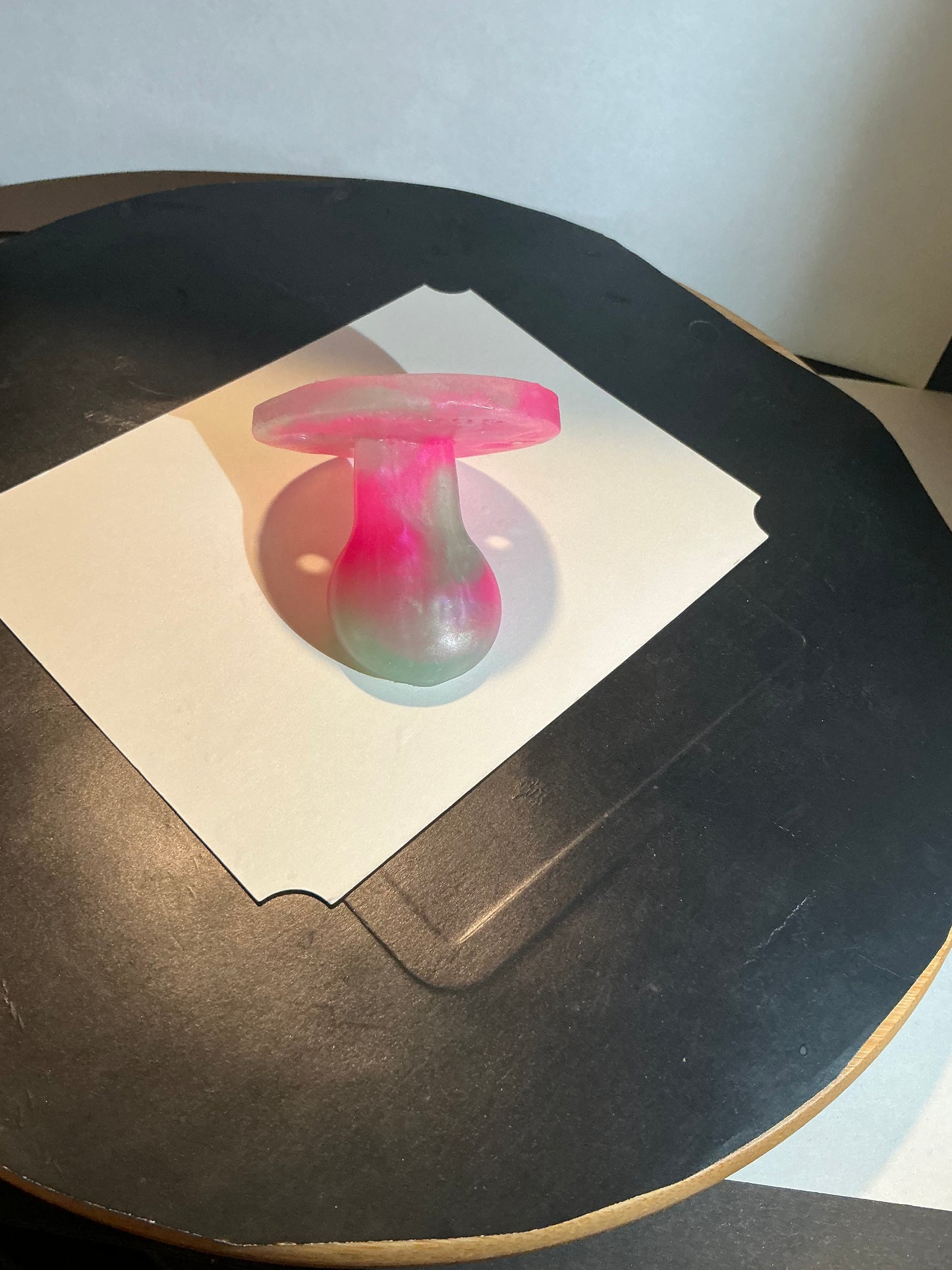 Adult Custom Solid Silicone Adult Pacifier