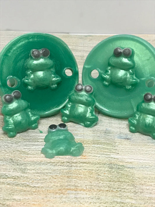 Adult Solid Silicone “Charlie the Frog” Adult  Pacifiers