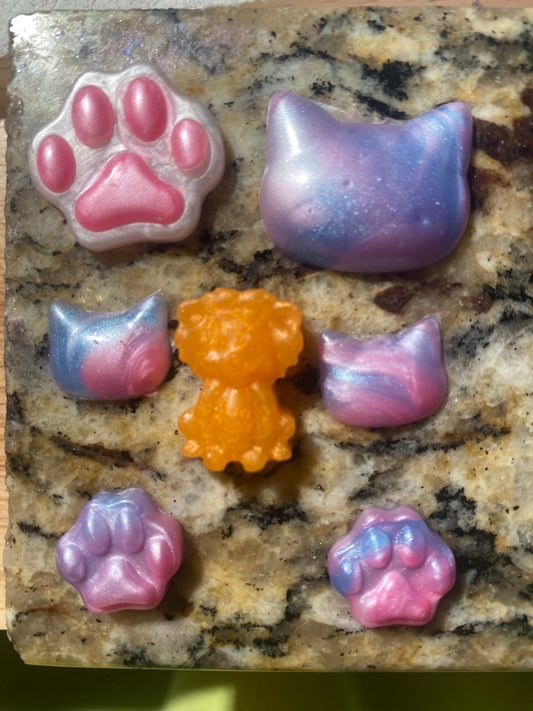 Cat and Paw Print Squishies