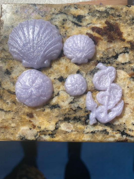 Sea Shells, Sand Dollars and Anchor Squishies